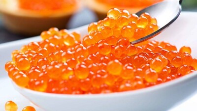 В Актюбинской области пресекли контрабанду 2,3 тонны красной икры