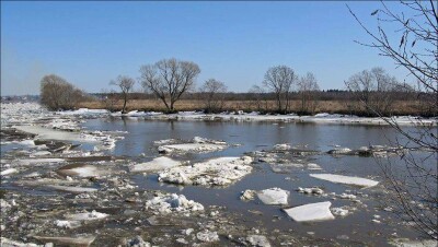 В Сырдарье повысился уровень воды: подтоплен дачный участок