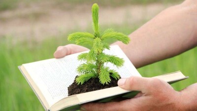 Экологиялық мәдениетті қалай дамытамыз? Оған қанша қаржы қажет?