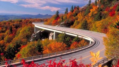 Погоду без осадков прогнозируют синоптики на 10 октября