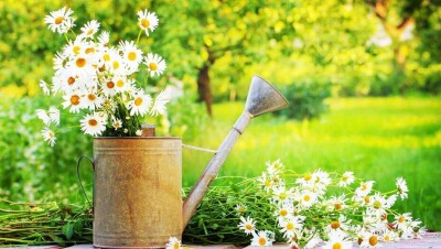 Прогноз погоды на 21 августа: почти на всей территории Казахстана будет без осадков