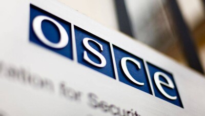 ОБСЕ раскритиковала президентские выборы в США