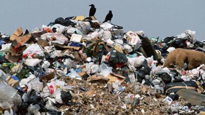 В Караганде разрослась незаконная свалка мусора
