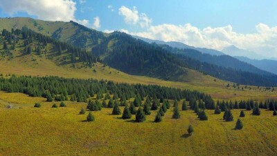 Сохранение памятников археологии на Кок-Жайляу внесли в схему развития Алматинской агломерации 