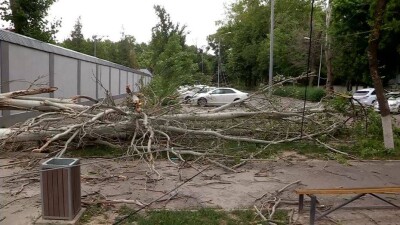Шквальный ветер сорвал крыши зданий и повалил деревья в Шымкенте
