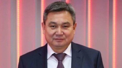 Зампредседателя Комитета лесного хозяйства возглавил "Охотзоопром"