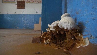 Родители обещают сорвать начало учебного года в сельской школе Карагандинской области