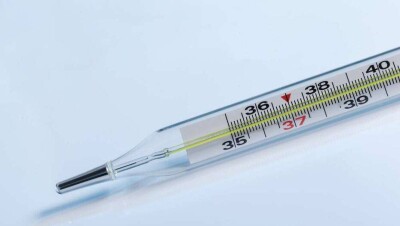 В СКО медики будут наблюдать за более 250 жителями сёл, контактными по птичьему гриппу