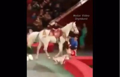 Певица Меруерт Тусупбаева упала с лошади во время выступления в цирке