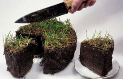 Если хочешь быть здоров - ешь грязь и не мойся