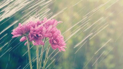 Прогноз погоды на 13 апреля: на большей части территории Казахстана пройдут дожди