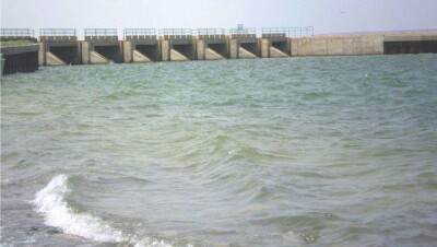 Около 15 млн мальков запустят в Малый Арал