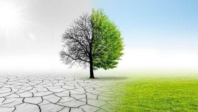 Европарламент объявил чрезвычайную климатическую ситуацию в мире