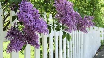 Какой будет погода 9 мая, сообщили синоптики