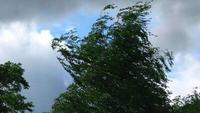 Прогноз погоды на 22 августа: шквальный ветер ожидается на большей территории Казахстана