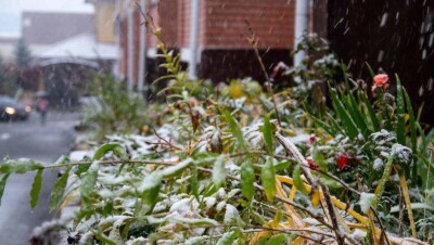 Прогноз погоды на 18 октября: на севере и в центре РК ожидается дождь со снегом и гололедица