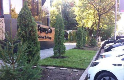 У клуба Shangrila высадили 15 саженцев