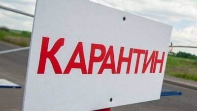 Сибирская язва в Акмолинской области: госпитализированы пять человек