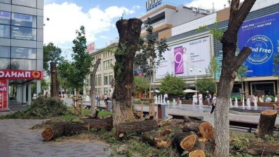 Полицейские Алматы задержали людей, вырубивших деревья на "Арбате"