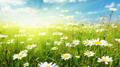 Прогноз погоды на 17 августа: лишь на юге и западе Казахстана будет преимущественно без осадков