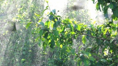 Дожди на большей части территории Казахстана пройдут 8 июня