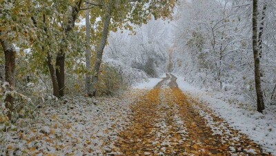 Метель ожидается 30 октября в северных районах Казахстана