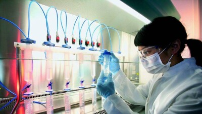 Минздрав РК хочет упростить ввоз и вывоз стволовых клеток и костного мозга человека