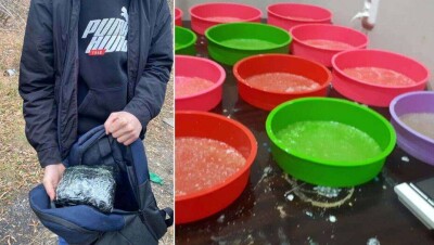 В Караганде полицейские ликвидировали крупную нарколабораторию
