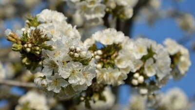 Тёплая погода ожидает казахстанцев в воскресенье