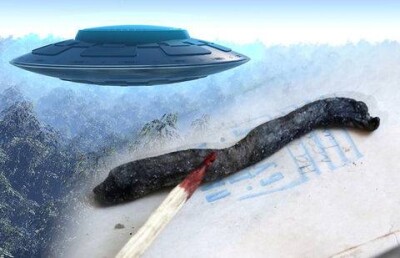 Личинкой неизвестного существа из Костанайской области заинтересовались уфологи