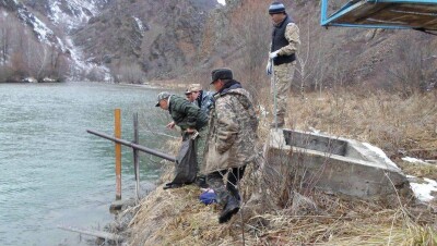 Застройка в горах увеличила опасность схода оползней в Алматы и Алматинской области