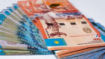 Актюбинской области выделили 3,6 млрд тенге, чтобы погасить долги по субсидиям перед фермерами 