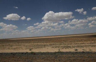 Законопроект, приостанавливающий выдачу земли в аренду иностранцам, принял в разработку Парламент