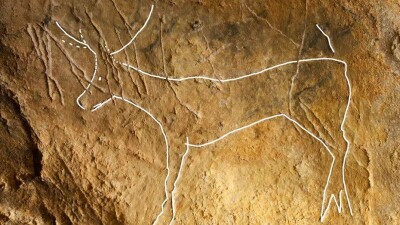 Наскальные рисунки Ледникового периода обнаружили во Франции
