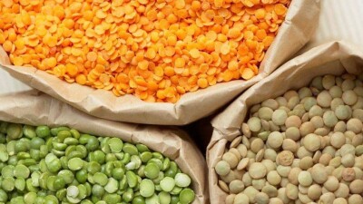 Чечевицу, горох, ячмень и кукурузу будут закупать ОАЭ у Казахстана