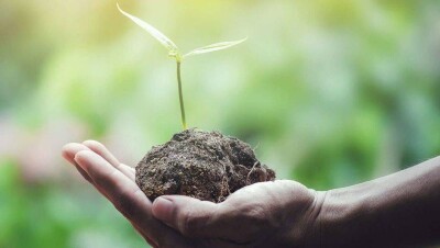 Экообязательства и господдержка: ждать или не ждать?