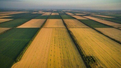 Глава Минсельхоза РК: Земли иностранцам не продаются и продаваться не будут