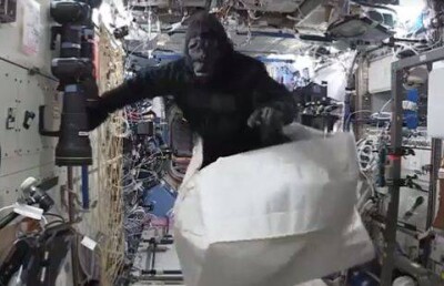 Горилла гонялась за астронавтами на МКС