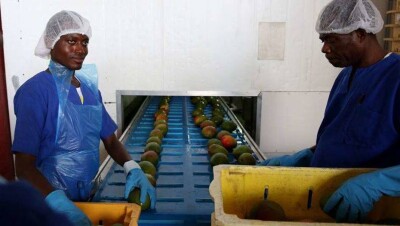 Эксперты ООН порекомендовали бедным странам помогать перспективным стартапам