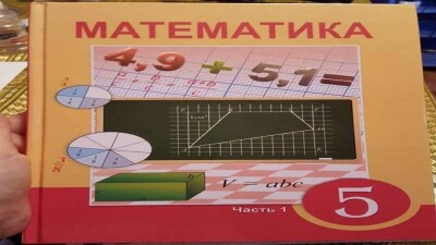 Алматинка уличила в плагиате авторов нового учебника по математике для пятых классов