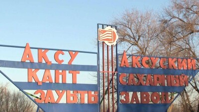 Сахарный завод, куда государство вложило 2 млрд тенге, закрылся на ремонт