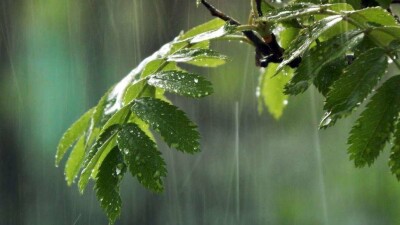 Прогноз погоды на 12 мая: дожди и грозы ожидаются на большей части Казахстана