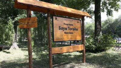 В акимате Алматы объяснили статус рощи Баума 