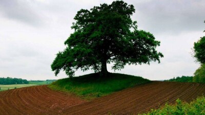 В Акмолинской области массово изымают земли сельхозназначения 