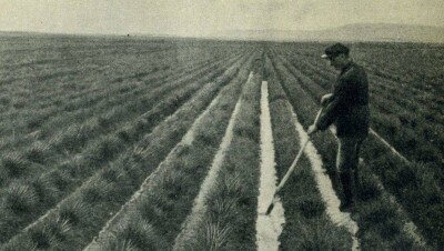 Как Советский Союз тянул резину из Казахстана
