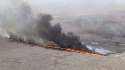 На побережье Каспийского моря горит камыш. Запах гари ощущается в Атырау