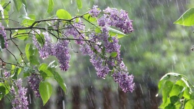 Какой будет погода 19 мая, рассказали синоптики