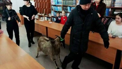 В Павлодарской области аким села подарил козу школьнику, прочитавшему за год 125 книг