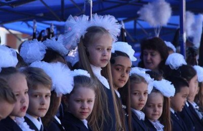 Реформа образования. Методом "народной стройки"?