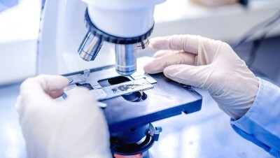 Экспертиза исключила наличие чумы в окрестностях Байконура